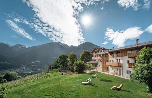 Trinnerhof- Hof Chalets und Obsthof - Photo 8