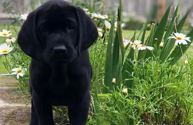 Lovely, Spacious 1-bed Apartment in Poole - Foto 12