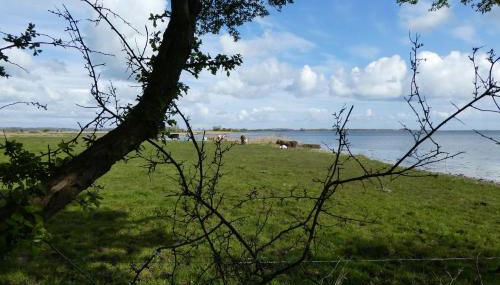 Ferienhaus Lachmöwe - Foto 2