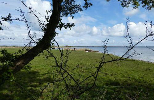 Ferienhaus Lachmöwe - Foto 2