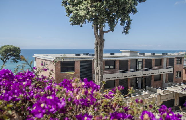 Santa Romana - Photo 31