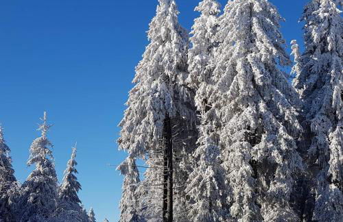 Zirbenholz Tiny House "Waldhauszeit" am See - Foto 6