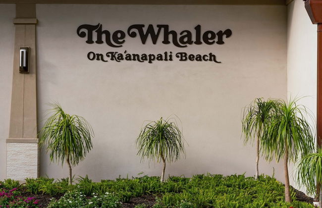 Whaler 518 Oceanview Studio Condo Condo by RedAwning - Foto 44