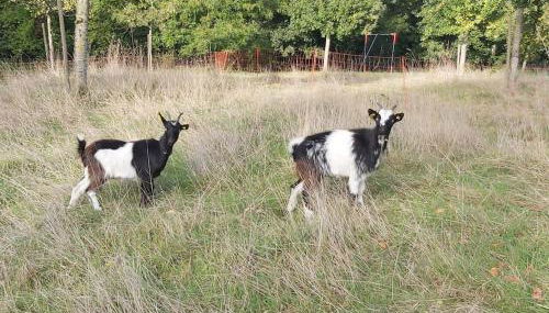 Le Pressoir de Cour la Ville - Foto 4