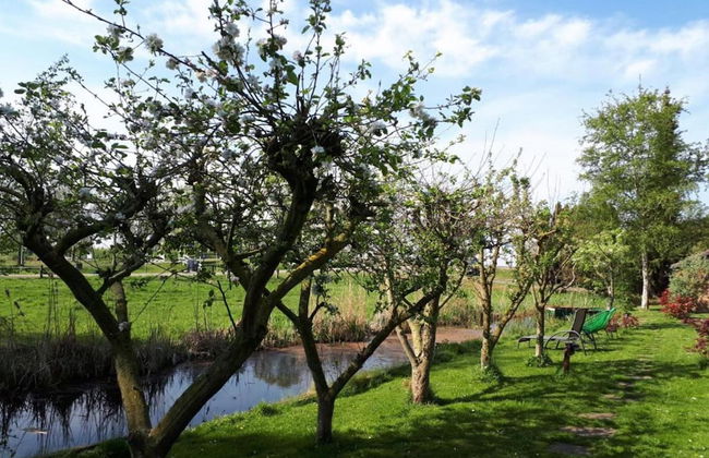 Rustic-chic Villa With Thatched Roof - Photo 34