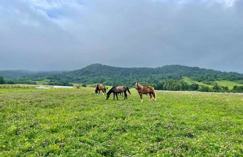 U Ewy pod Brzozami - Foto 51