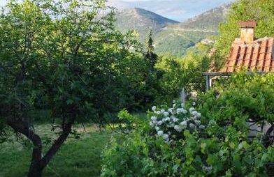 Apartment Zorka - Foto 25