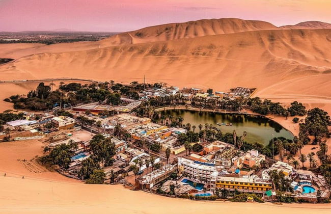 Excursión a Ica y Huacachina + Islas Ballestas - Foto 5