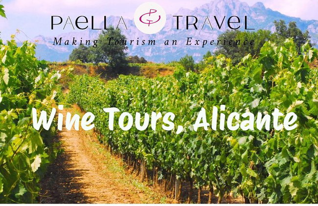 Alicante; Recorrido Vinícola Bodega Cata Vinos, Comida y Traslado - Foto 1