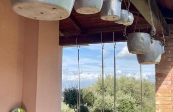 Pink House - Foto 15