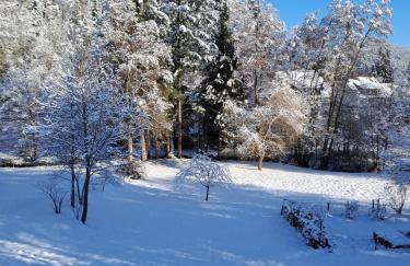 Les Papillons - Foto 19