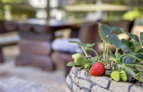 Holiday Home Giardino Marino - Foto 49