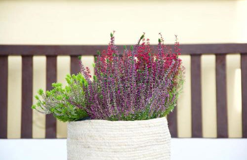 La Terrazza di Isabel - Foto 4