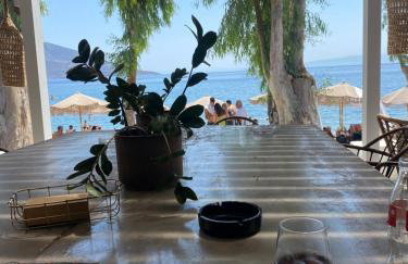 Stellas guesthouse near Arachova - Foto 41