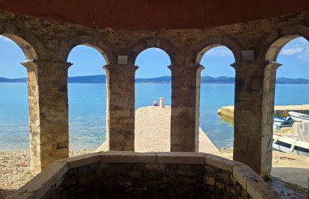 Suzy's botanica - Foto 19