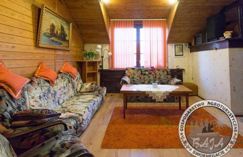 BAJA Gospodarstwo Agroturystyczne - Foto 3