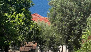 Meerblick mit Traumterrasse - Foto 4