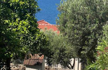 Meerblick mit Traumterrasse - Foto 4