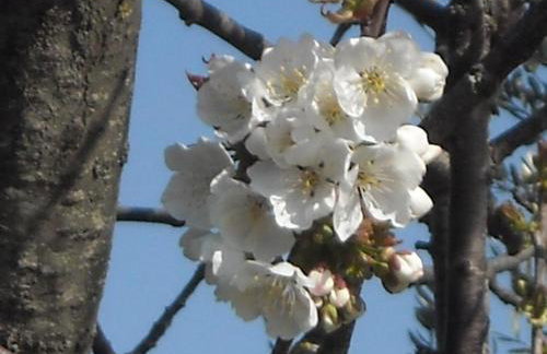 Agriturismo L'Imposto - Foto 29