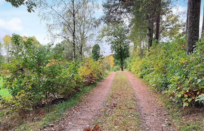 4 Person Holiday Home in Holsljunga-by Traum - Photo 19