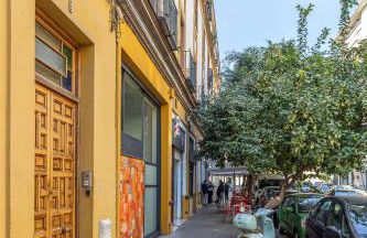 Alejo Fernandez Dreams de Santa Cruz Oasis Sevilla - Foto 27