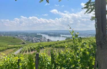 Good times in St. Goar (Mit Fahrrad-Keller) - Foto 15