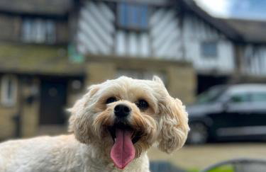 New Hall, Elland - Foto 4