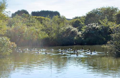 Peregrine Lodge - Foto 22