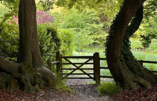 Chiltern Studio - Foto 22