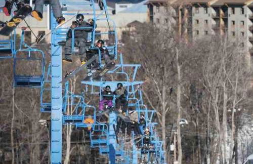 Peaceful Gateway to Island Creek Cottage - Foto 49