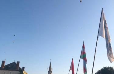 Gite Coccinelle in the medieval town of Confolens - Foto 60