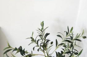 This Old House - Foto 16