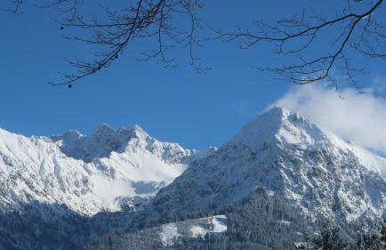 Allgäuer Bergblick - Foto 25