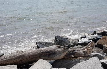 Apartment Villa Zur Altstadt Sassnitz - Foto 22