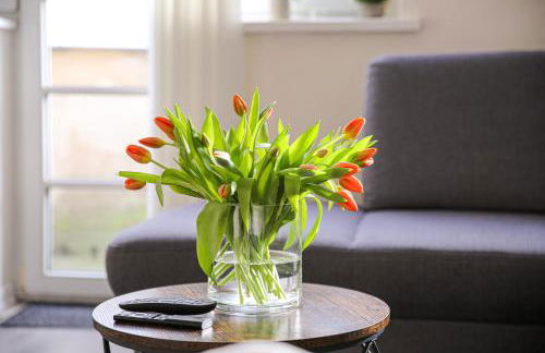 Luxus City Apartment Sauna Balkon Küche Zentral - Foto 15