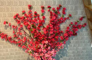 Refúgio Águia - Foto 14