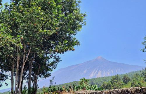 Casa Rural Giovanni & Rosa B Icod de los Vinos - Foto 30
