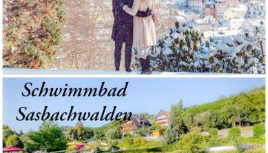 Gaishöll-Wasserfälle Apartment Schwarzwald - Foto 2