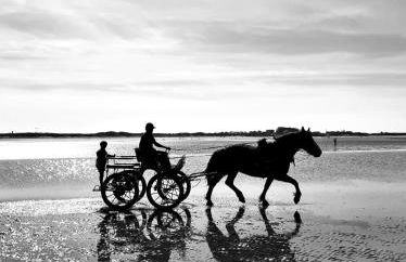 Ferme de Franqueville - Foto 26