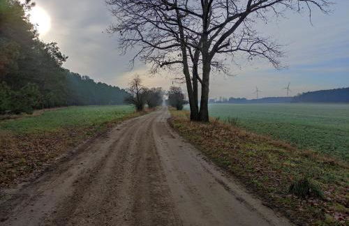 Ferienhaus Erna - Foto 42