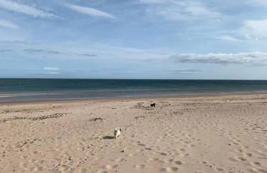 Tilly's Lookout - 3 bed/ 2 bathroom sea views - Foto 22