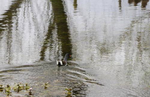 The Courtyard - Hilltop Barn - Photo 37