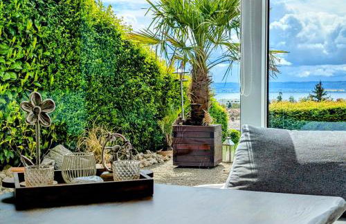 Bodensee - Palmen - Foto 7