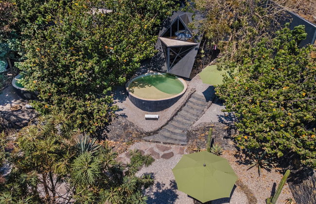 Bosque Geométrico - Foto 63