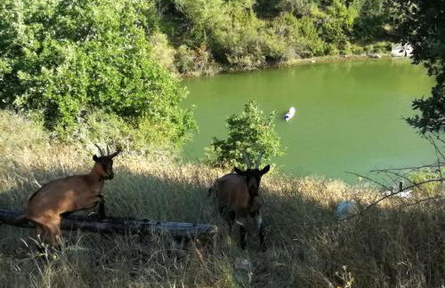 Agriturismo Podere Tegline - Foto 31