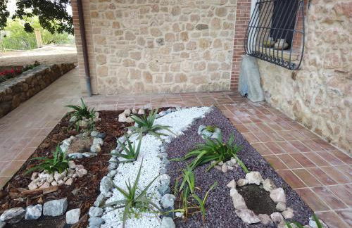 Il Mandorlo - Foto 48