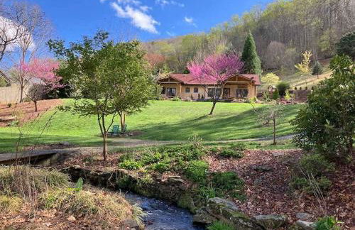 Apeldoorn House - 25 min to downtown Asheville - Foto 28