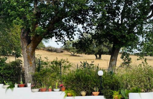 Gio Country House - Foto 8