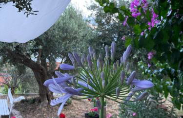 Apartment PANORAMA - amazing sea view, newly renovated - Photo 44