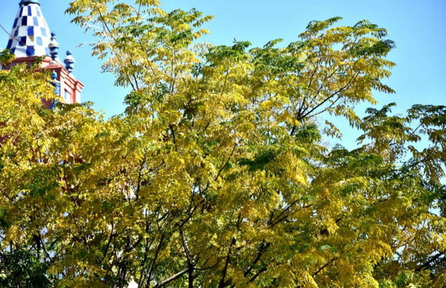 Finca La vega - Foto 80